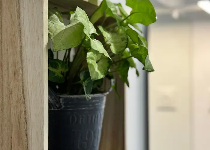 Apartament Le Duplex - Centre